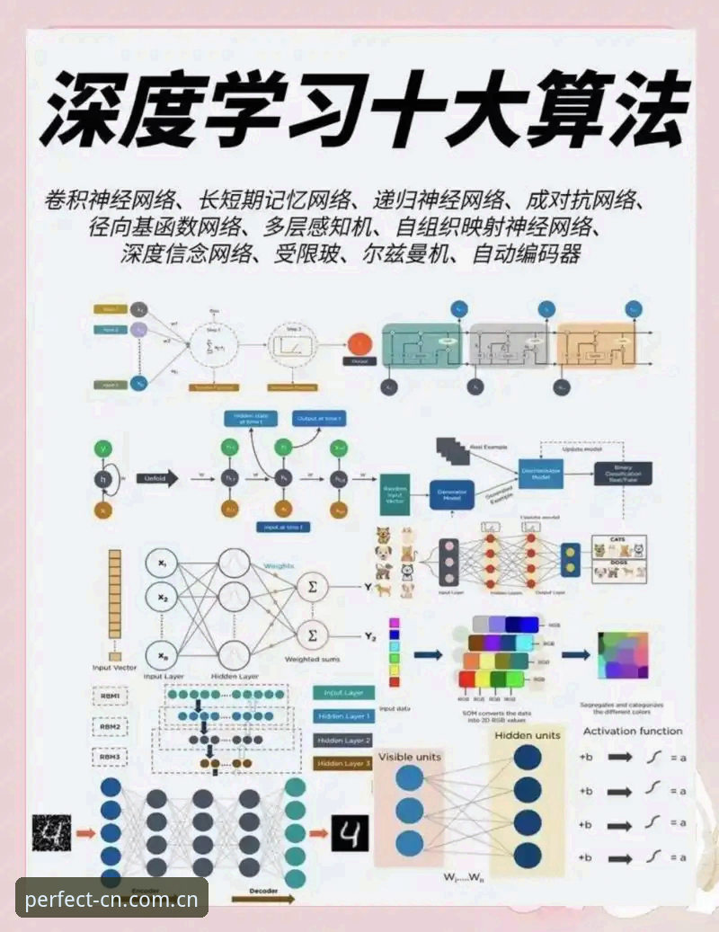 深度揭秘完美体育APP苹果下载：为什么我不推荐你直接搜“苹果下载”